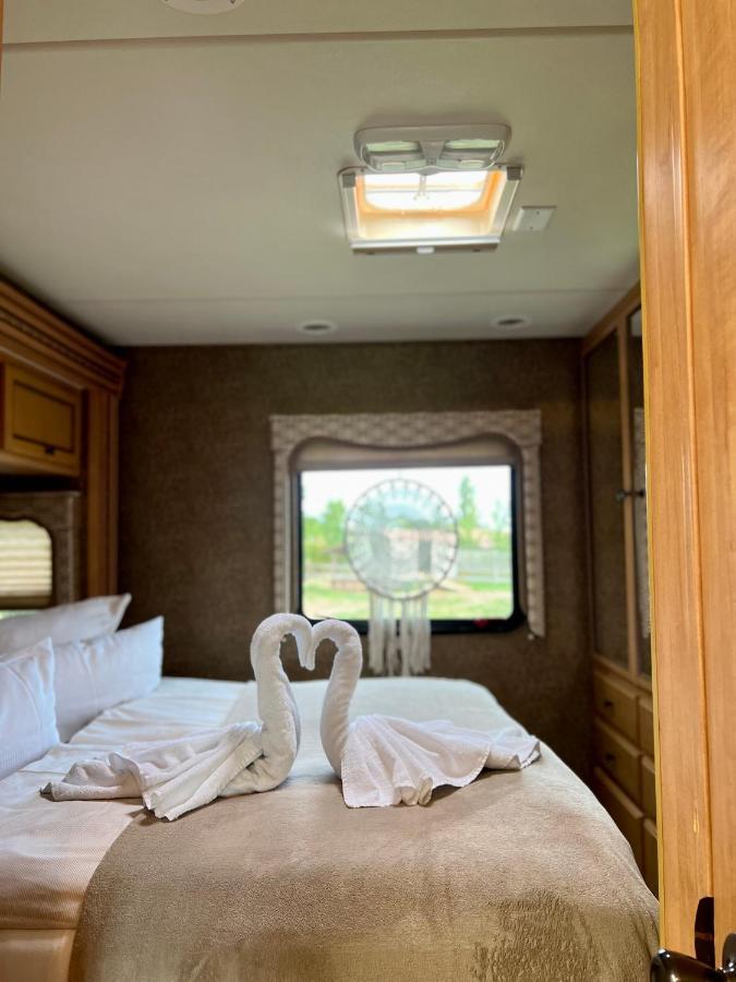 Lieblingsplatz Parey - Tiny House 아파트 외부 사진
